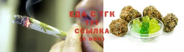 СК Алексин