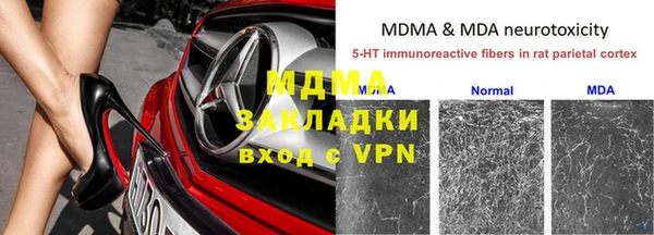 ГАЛЛЮЦИНОГЕННЫЕ ГРИБЫ Горно-Алтайск