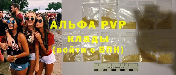 apvp Кукмор