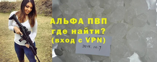 СК Алексин