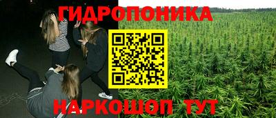 прущие крисы Жуковский