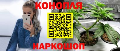 прущие крисы Жуковский