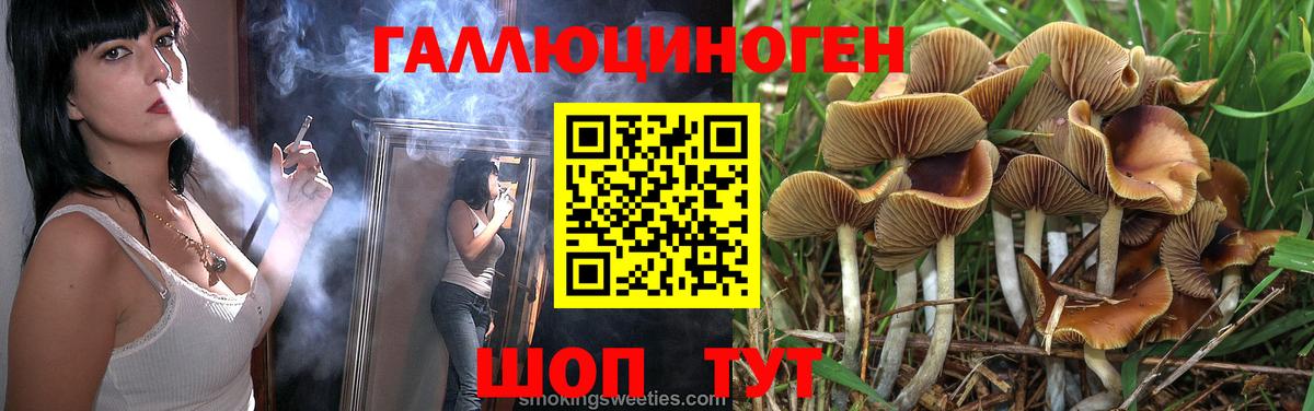 МЕТАДОН Курчатов